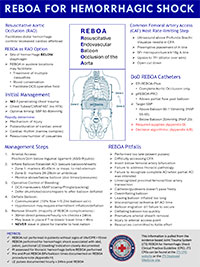(REBOA) for Hemorrhagic Shock Infographic